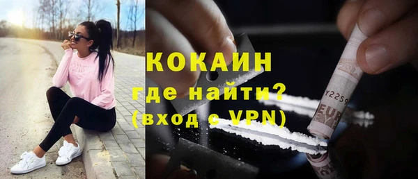 МДПВ Няндома